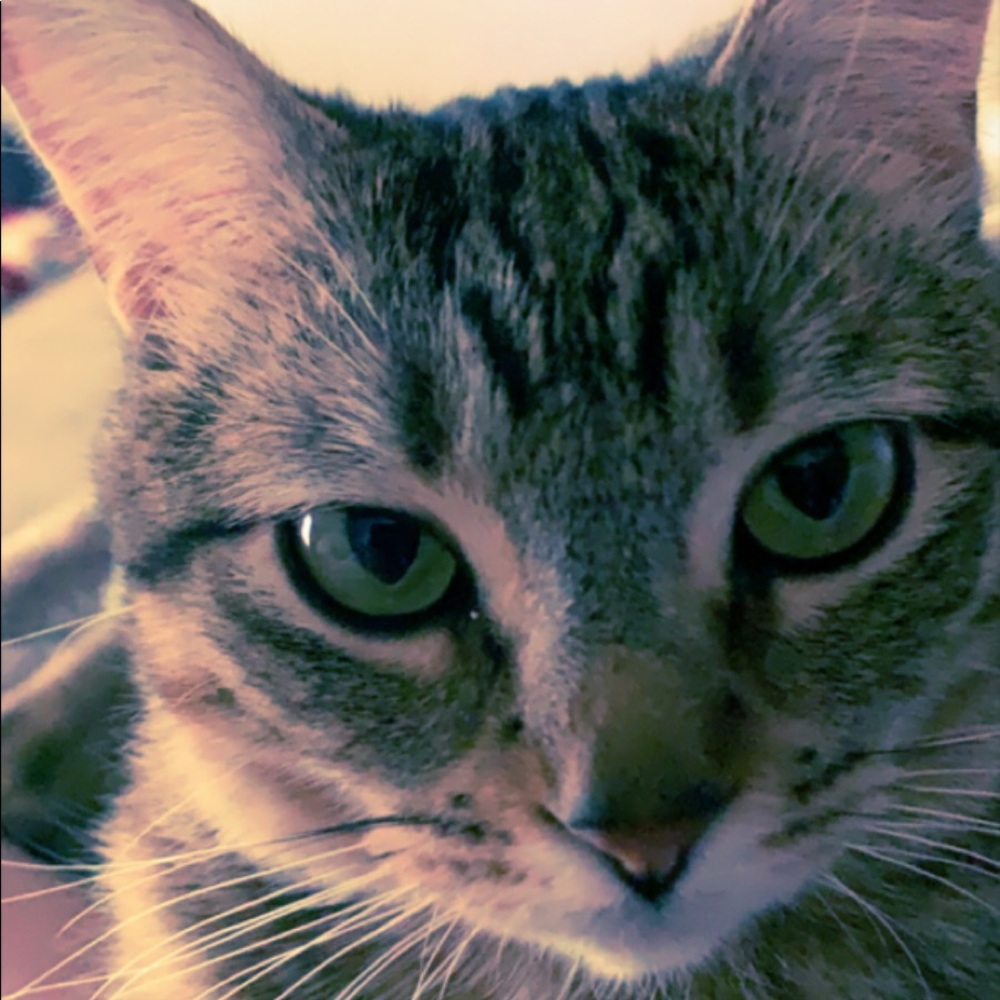 Meet your Posher, Cindy
